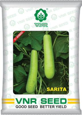 FRESHO Botti Gourd Sarita F1 HYBRID Seed Seed(50 per packet)