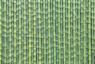 Unique Graphics Vinyl Decorative Green Wallpaper(L x W: 244 cm x 41 cm)