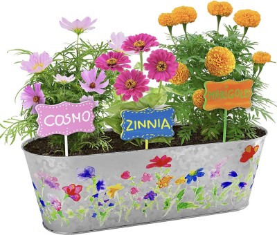 Poches Cosmos, Zinnia & Marigold Seed(23 per packet)