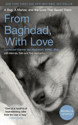 From Baghdad, With Love(English, Paperback, Kopelman Jay)