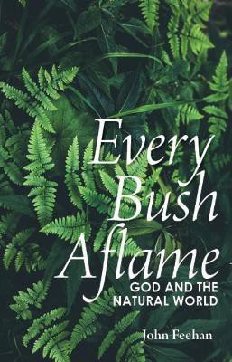 Every Bush Aflame(English, Paperback, Feehan John)