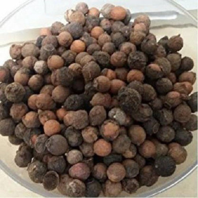 LYRS Safed Chandan Sandalwood Tree Seed Seed(140 per packet)