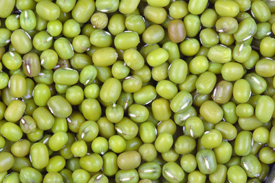 Green World MOONG SEEDS / MUNG SEEDS / GREEN GRAM SEEDS FOR FARMING 2 KG PACK Seed(2000 per packet)