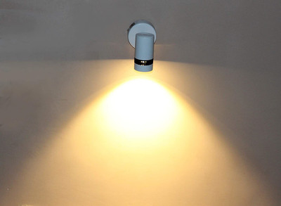 CARSTEN Swing Arm Wall Light Wall Lamp With Bulb