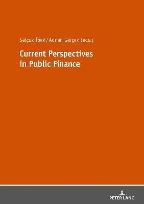 Current Perspectives in Public Finance(English, Paperback, unknown)