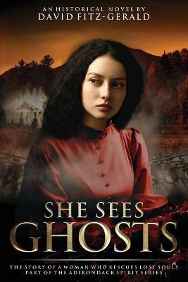 She Sees Ghosts - The Story of a Woman Who Rescues Lost Souls(English, Paperback, Fitz-Gerald David)