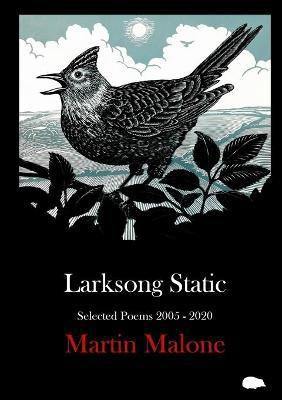 Larksong Static(English, Paperback, Malone Martin)
