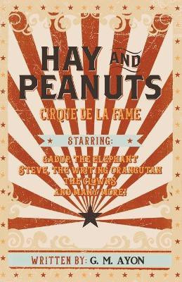 Hay and Peanuts(English, Paperback, Ayon G M)