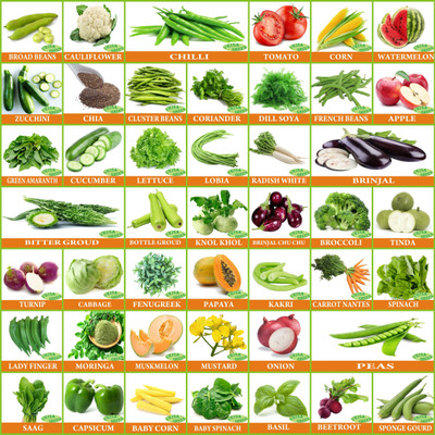 Greenery Hub 45 Varieties of Vegetable Seeds 2600+ Germination Seed Seed(45 per packet)
