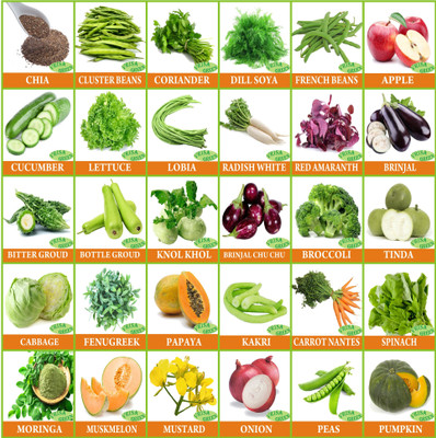 Greenery Hub 30 Varieties of Vegetable Seeds 1500+ Germination Seeds Seed(30 per packet)