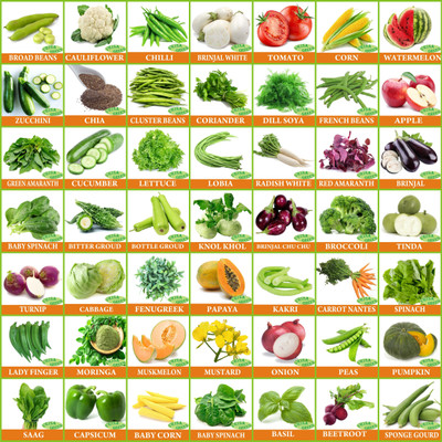 Greenery Hub 50 Varieties of Vegetable Seeds 2700+ Germination Seed Seed(50 per packet)