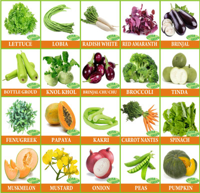 Greenery Hub 20 Varieties of Vegetable & Fruit Seeds Seed(20 per packet)