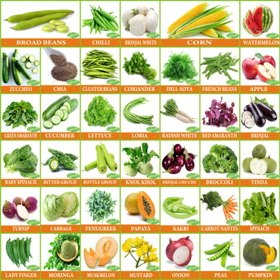 Greenery Hub Combo 40 Variety Vegetable and Flower Seeds Pack Seed(40 per packet)