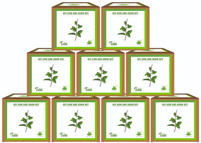 Sow and Grow Tulsi, Holy Basil Seed(9 per packet)