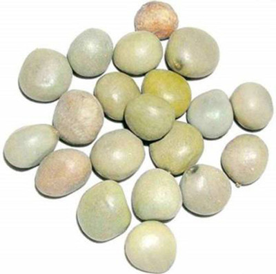 Epoojacart Gacha Kayalu (100 gms) Seed(50 per packet)
