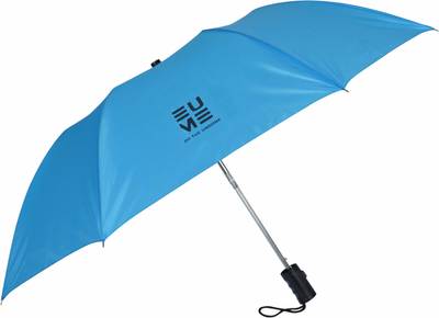 EUME Leatrix 21 Inch 2 Fold Auto-Open Umbrella  (Blue)