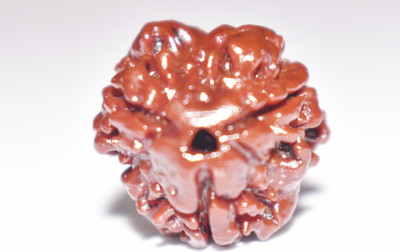 ng gems 3 MUKHI/ THREE FACE ORIGINAL RUDRAKSHA LAB CERTIFIED Wood Pendant