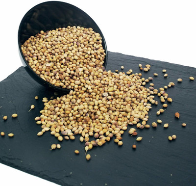 MKR Enterprises Dhaniya Seed(100 per packet)