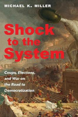 Shock to the System(English, Hardcover, Miller Michael K.)