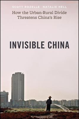 The Invisible China(English, Hardcover, Rozelle Scott)