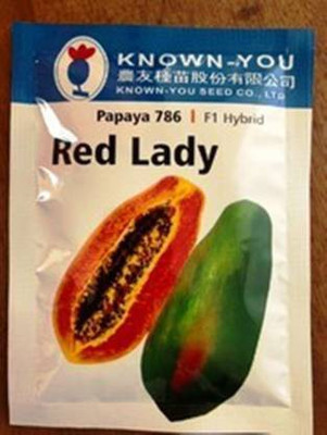 THAMMAR red lady 786 papaya f1 hybrid seeds 300 Seed Seed(300 per packet)