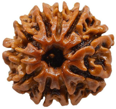 Epoojacart Certified Original Rudraksha 10 Mukhi Wooden Yantra(Pack of 1)