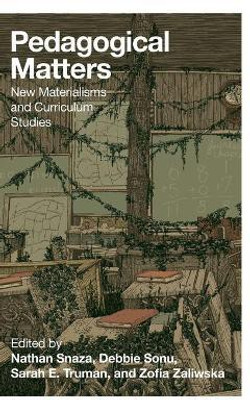 Pedagogical Matters(English, Hardcover, unknown)