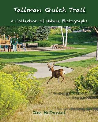 Tallman Gulch Trail(English, Paperback, McDaniel Joe G)