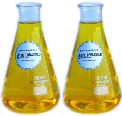 THE LABWORLD Erlenmeyer Flask(250 ml, Pack of 2)