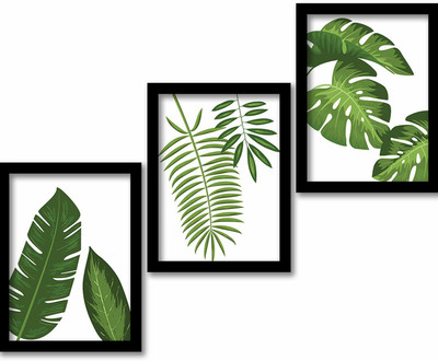 Nature Theme Wall Decor Posters for Living Room Bed Room Home and Office| Boteniacal Leaves Framed Poster for Home Decoration | Home Decor Posters with Glass Frame Paper Print(14 inch X 11 inch, Framed)