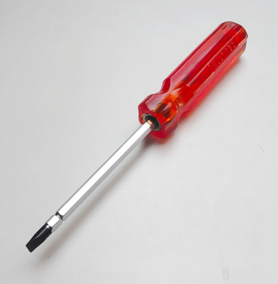 PRECISTO Chrome Vanadium 2-in-1 (100mm x 6mm) Standard Screwdriver(Pack of 1)