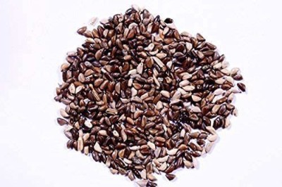 Ravel Napier fooder Grass Seed, Elaphant Grass Seed, Pennisetum Purpureum Grass Seed Seed(500 g)