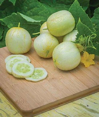 VibeX Cucumber Seed(120 per packet)