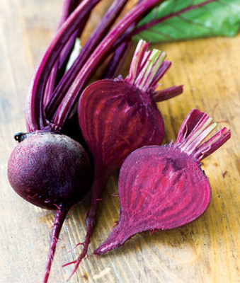 VibeX Beetroot, Moulin Rouge Seed(120 per packet)