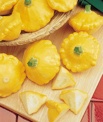 VibeX Squash Seed(50 per packet)