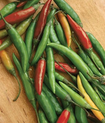 VibeX Thai Hot Pepper Seed(120 per packet)