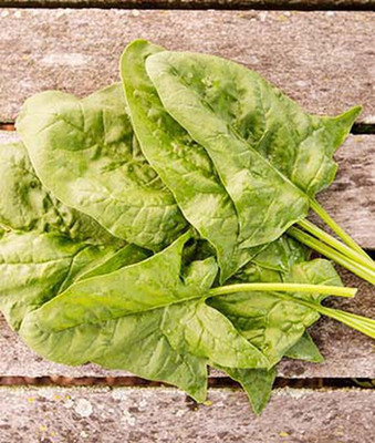 VibeX Spinach Seed(120 per packet)