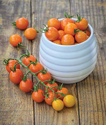 VibeX Tomato Seed(120 per packet)