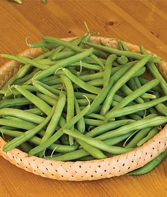 VibeX Bean Seed(75 per packet)