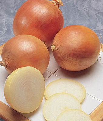 VibeX Sweet Onion Seed(120 per packet)