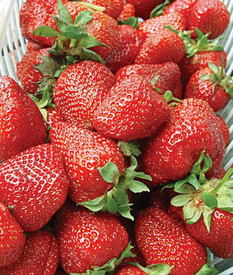 VibeX Strawberry Seed(60 per packet)