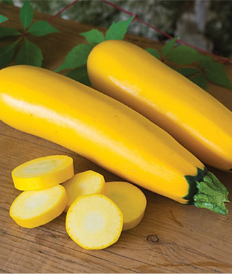 VibeX Squash Seed(50 per packet)