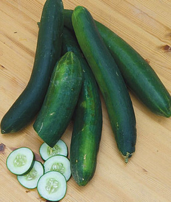 VibeX Organic Cucumber, Sweet Success Seed(120 per packet)