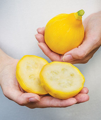 VibeX Squash, Waltham Butternut Organic Seed(50 per packet)