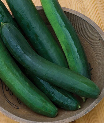 VibeX Cucumber Seed(120 per packet)