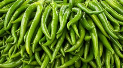 granthi Green Chilli हरी मिर्च Seed(300 per packet)