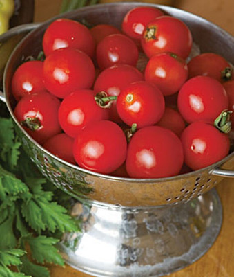 VibeX Tomato Seed(120 per packet)