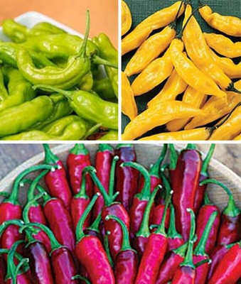 VibeX Hot Peppers Collection Seed(120 per packet)