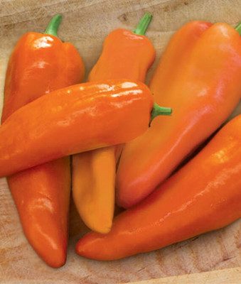 VibeX Pepper Sweet Seed(120 per packet)