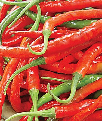 VibeX Pepper, Hot, Long Red Slim Cayenne Seed(120 per packet)